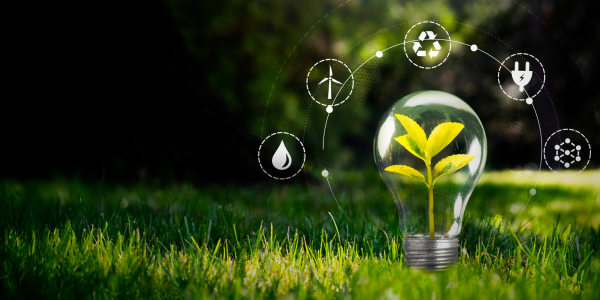 Plant growing within a lightbulb signifying Environmental Initiatives. Green logos surround the lightbulb as it looks like its in a grassy field.
